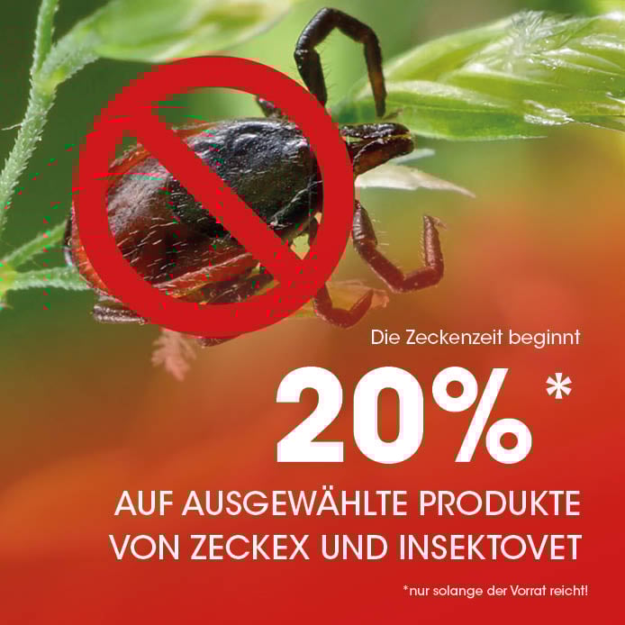 Image-Headline-Text 3